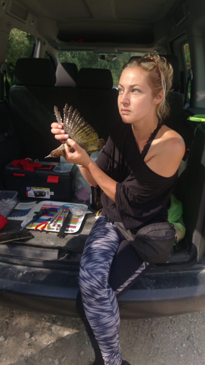 AgroEcoDiv tweet media