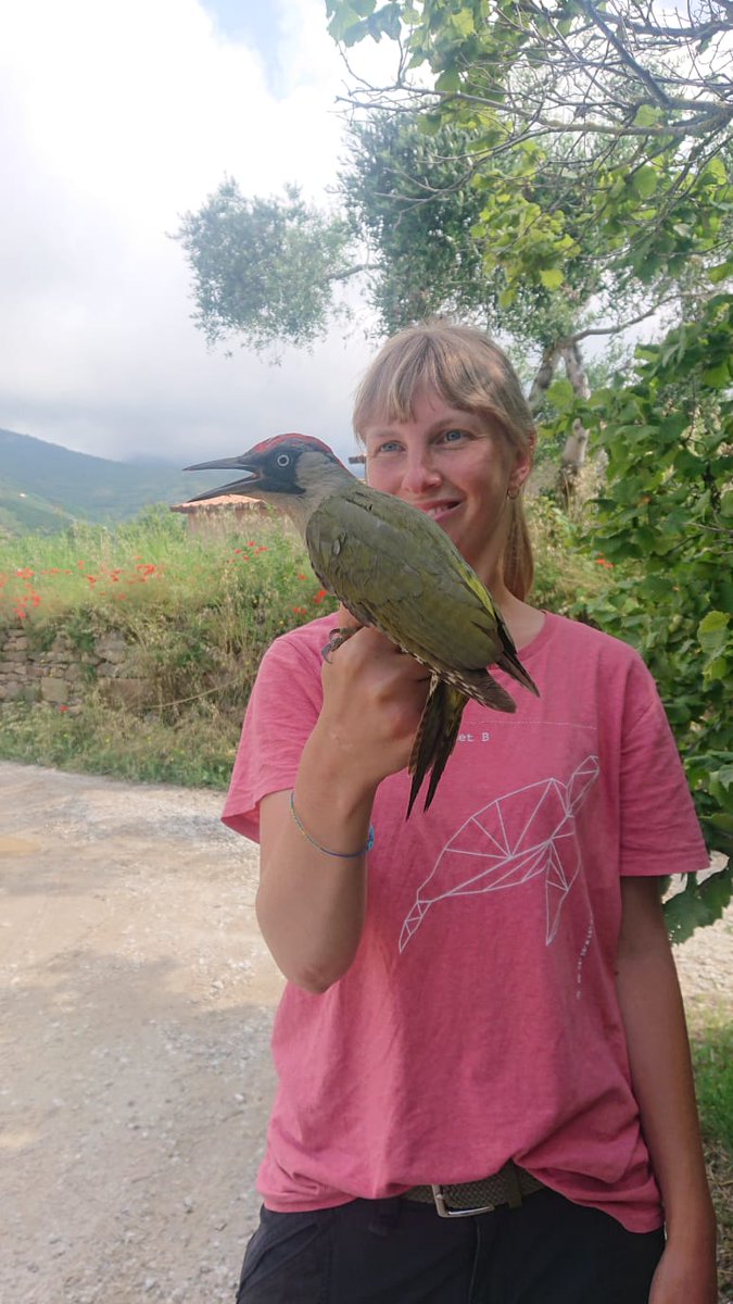 AgroEcoDiv tweet media