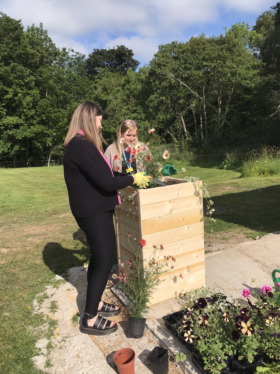 space to grow mental health growing project tweet media