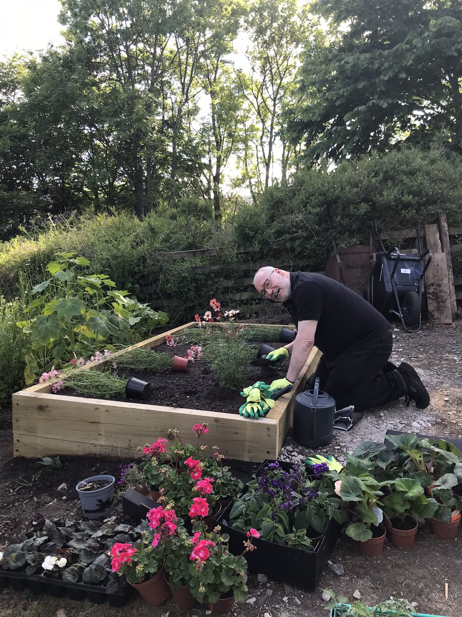 space to grow mental health growing project tweet media