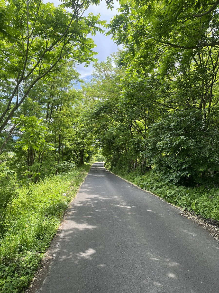 akjmwt1's tweet photo. おはようございます。
今日は晴れ予報☀️

#最高27度  #最低14度  #現在17度 https://t.co/wr21SeEmlE