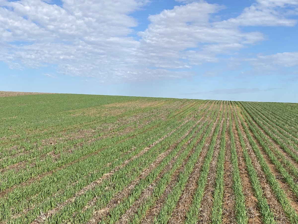 Chris Davey tweet media