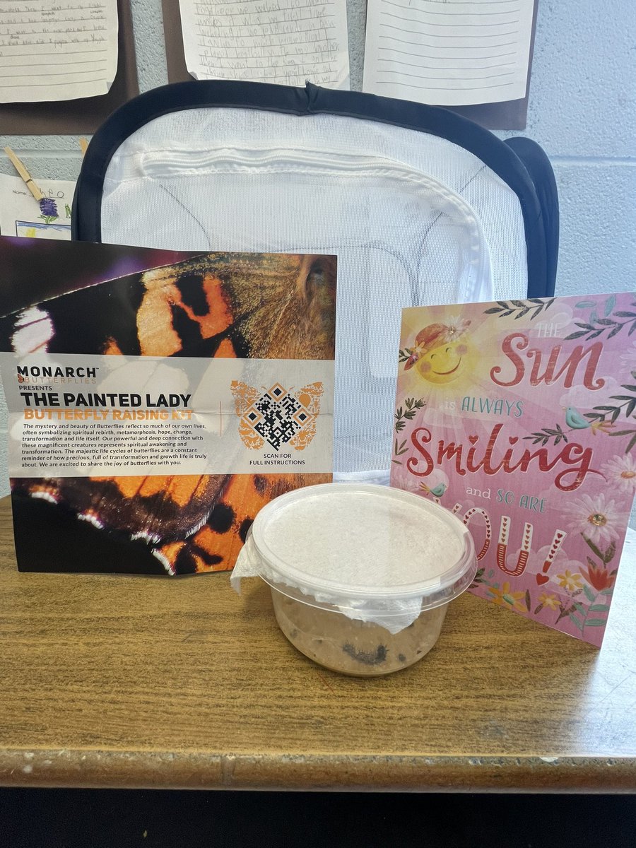 mssarracini's tweet photo. Our class was gifted with such a beautiful gift. The students are so excited to see our new class pets turn into beautiful butterflies 🦋. @HST_YCDSB https://t.co/LqqESJDTDn