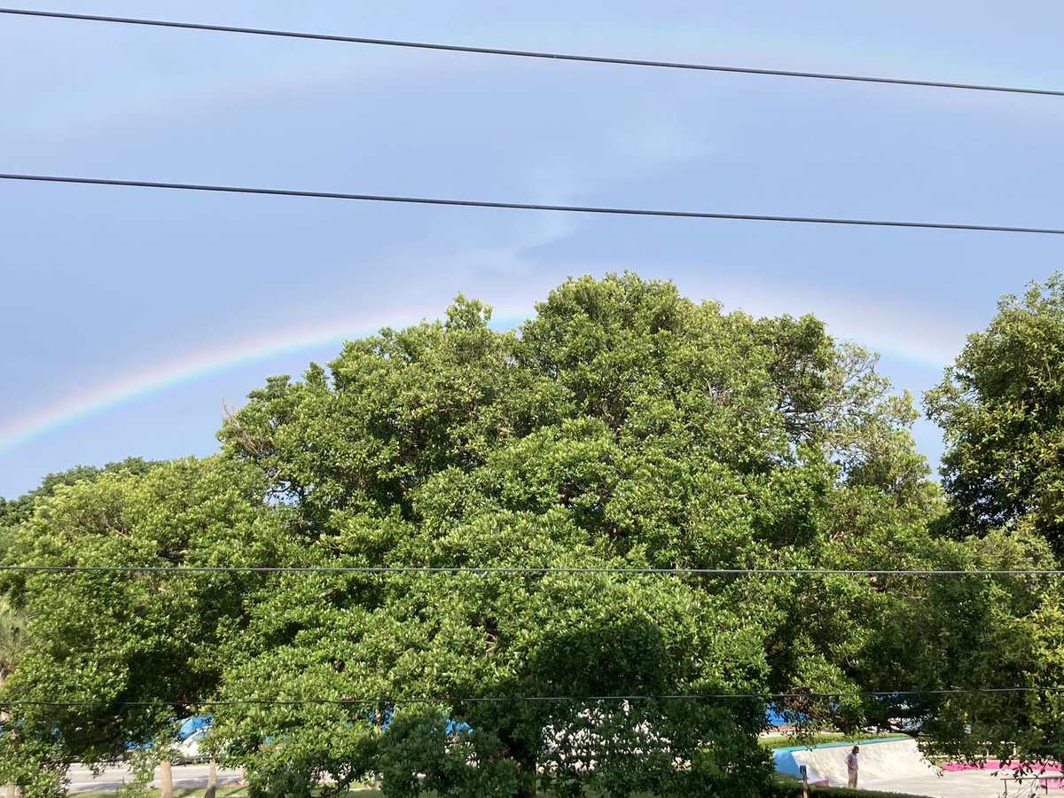 purplegreen0's tweet image. #anyquestions?