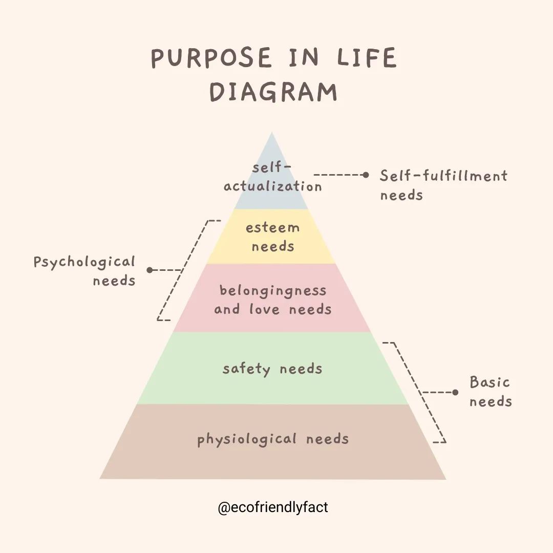 Life is too short to not live with purpose. Use this diagram to help you identify what truly matters to you and make a plan to achieve your goals. 🌟

#nowasteliving #goingzerowaste #zerowastelife #wastefree #ditchplastic #zerowasteliving #zerowastehome #lessplastic
