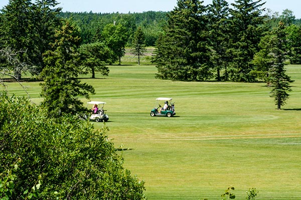 Add a round of golf at Black Bear Golf Club to your summer bucket list! Every level of golfer will have a blast playing a game at this family-friendly, 9-hole par 33 course

Learn more blackbeargolf.ca

#LacDuBonnet #MyLdB #ManitobaGolf #GolfManitoba #GolfMB #ExploreMB
