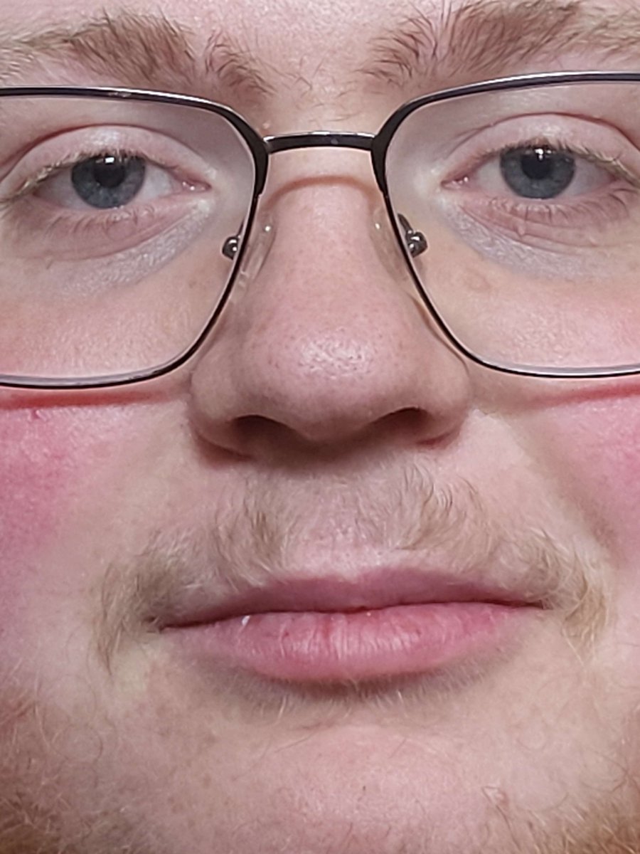 NekoBrando tweet media