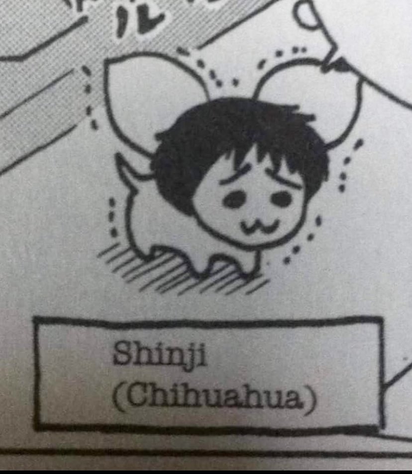 Skeletonium's tweet image. this stupid picture is emotional support if i lose it im puking into a bag and waving it around a public space