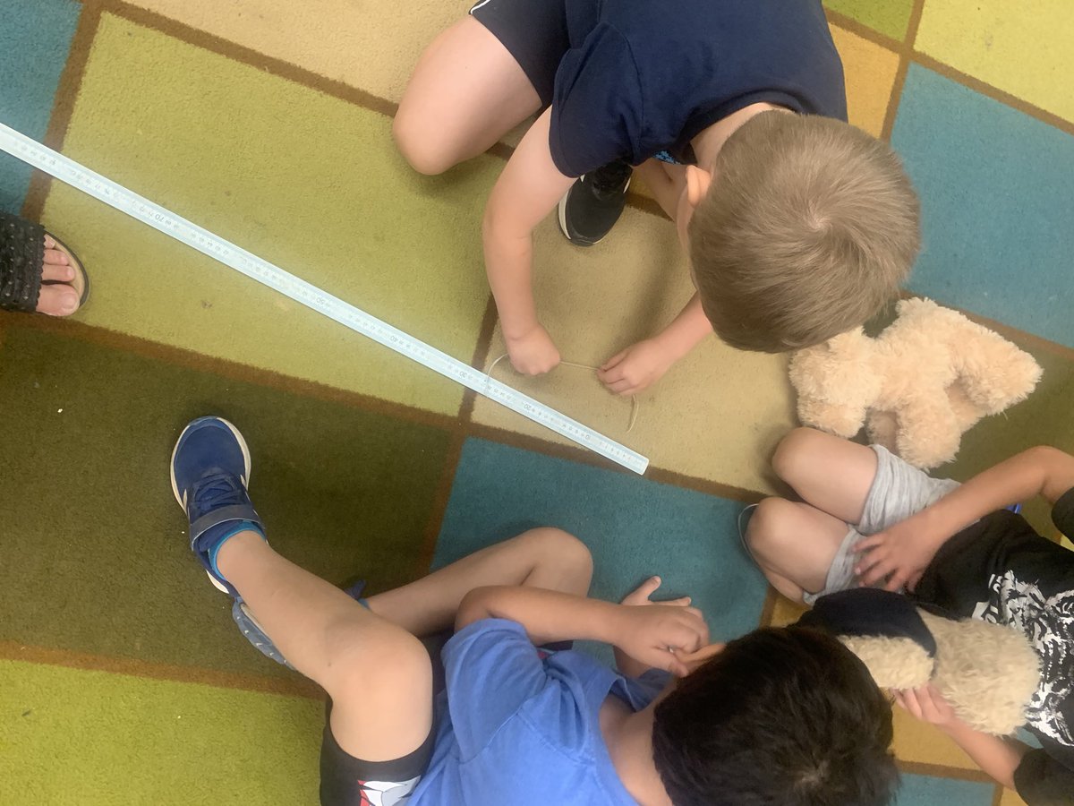 Grade1F's tweet image. Animal Day! We had fun measuring our wild (toy) visitors in different ways by choosing suitable units of measure. Mass, area, length, and height review.