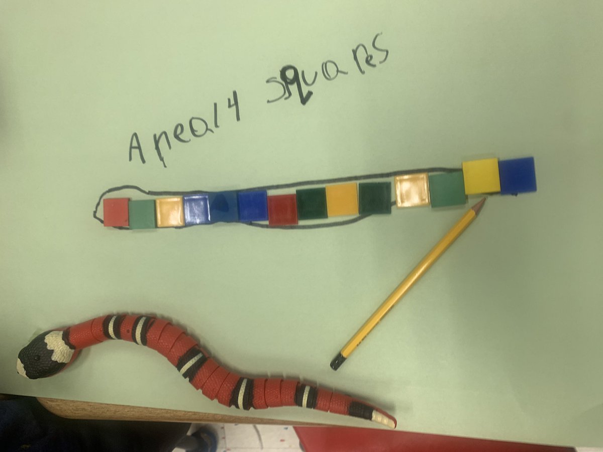 Grade1F's tweet image. Animal Day! We had fun measuring our wild (toy) visitors in different ways by choosing suitable units of measure. Mass, area, length, and height review.