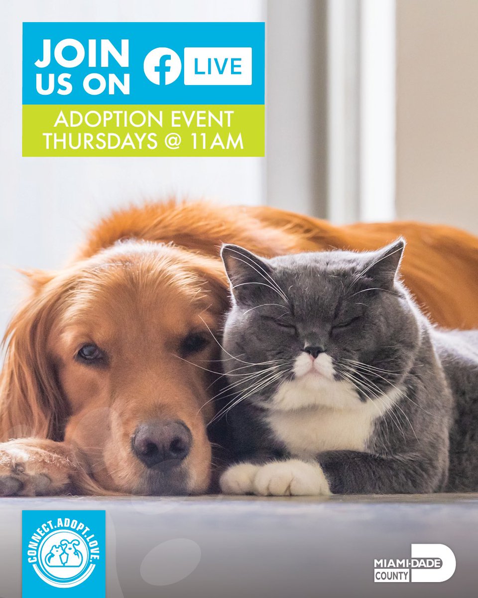 Miami-Dade County Animal Services tweet media