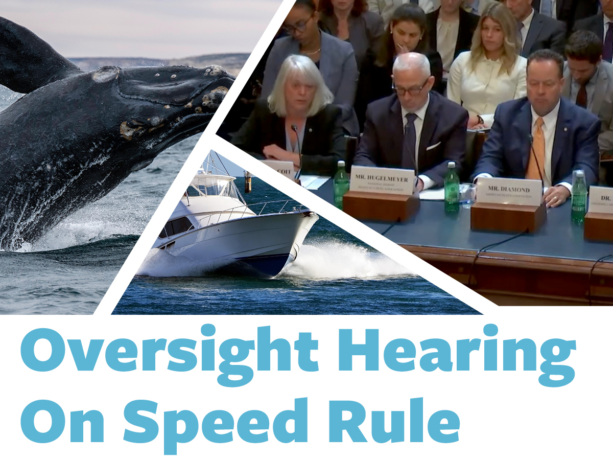 Oversight hearing on NOAA’s right whale vessel speed rule allowed stakeholders, including recreational marine industry representatives, to share their concerns &amp; feedback on the proposed Right Whale Speed rule. 

Read full recap of the hearing here: mraa.com/oversight-hear…