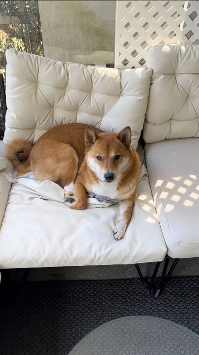 Brandon Waselnuk tweet media