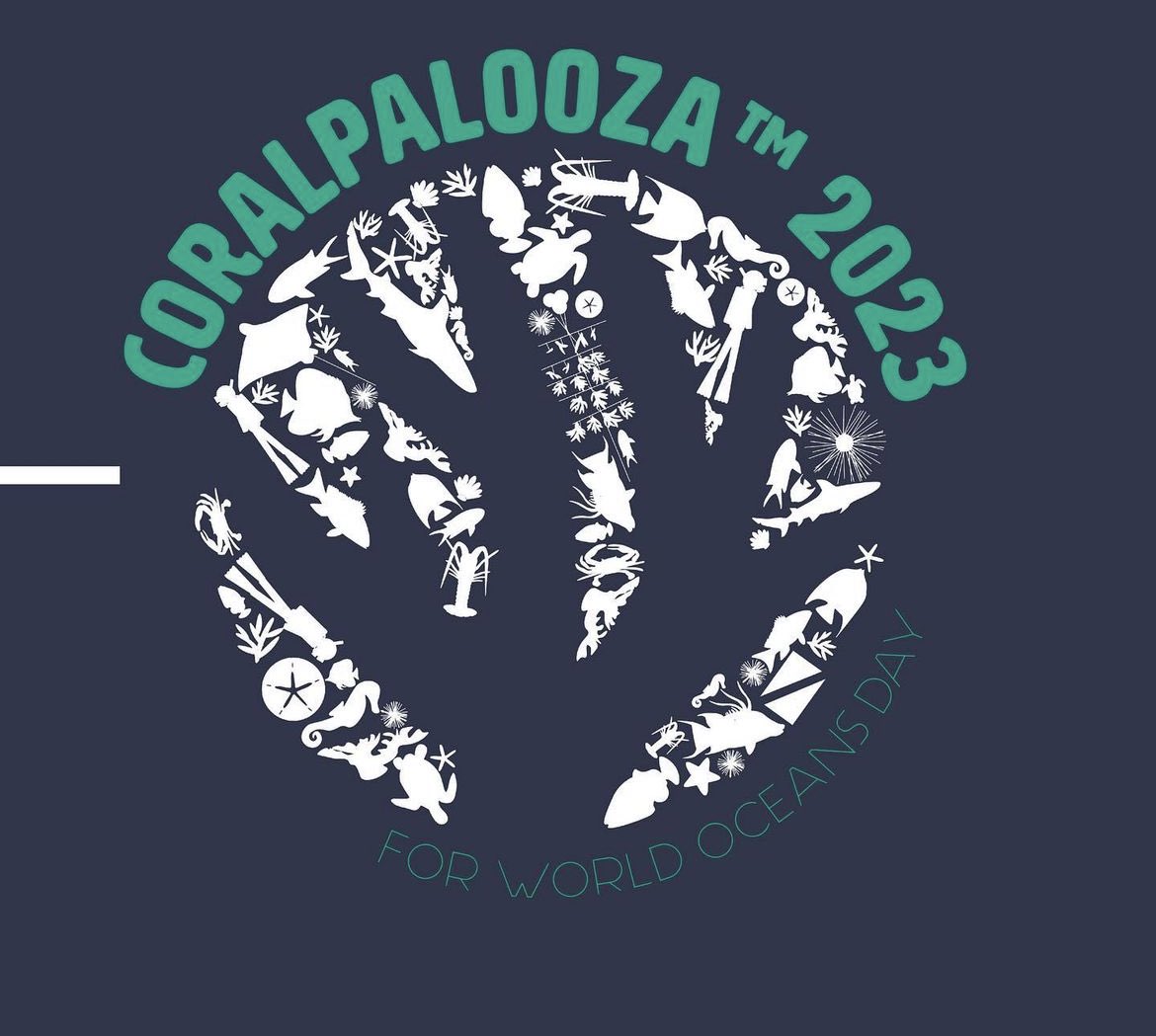 Excited that @CoralNurture Program will join the global Coralpalooza™ events to celebrate #Worldoceanday. Through our research we seek to optimise site stewardship to support natural reef recovery. Thanks @GBRFoundation for making this possible! uts.edu.au/news/health-sc…