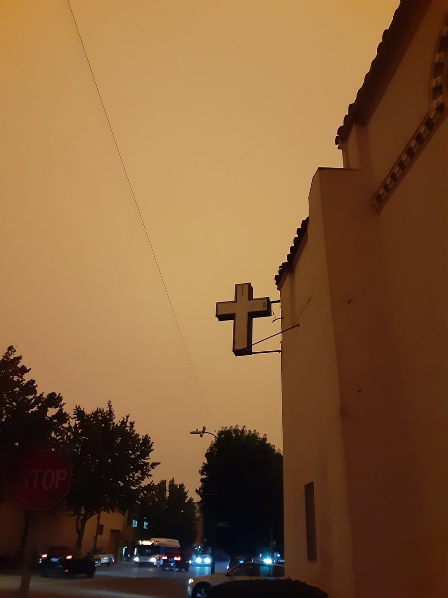 Sarah Drinkwater 🔮 tweet media