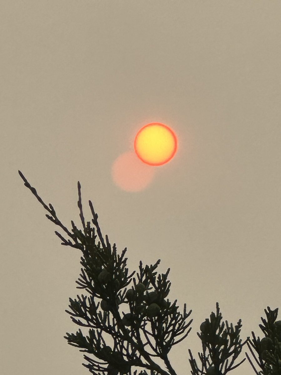 6:15pm sun in Bucks County, PA #canadianwildfiresmoke