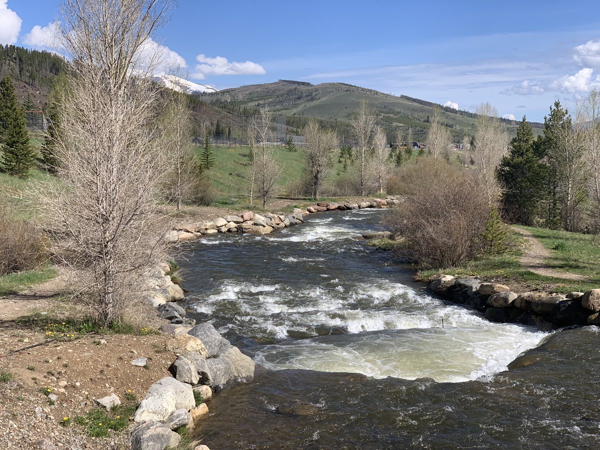 David Mayer MD tweet media