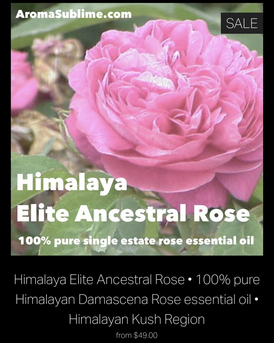 Special SALE pricing. Available now for a limited time. 

Absolutely epic rose from the Himalaya Kush region. 

 #rose #roseoil #roseessentialoil #genuinerose #pureroseoil #damascenarose #premiumrose #naturalrose #roseattar #roseoudattar #georgiarose #bestrose #rosedreams #rose