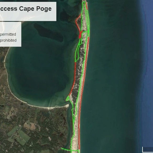 TheTrusteesMV's tweet image. #beachupdatesmv  Chicks are hatching! Welcome to the world little chicks! Portion of beach trail just south of Jetties closed. Please note the 5 mph zone at Leland. Thank you for helping us protect shorebirds!