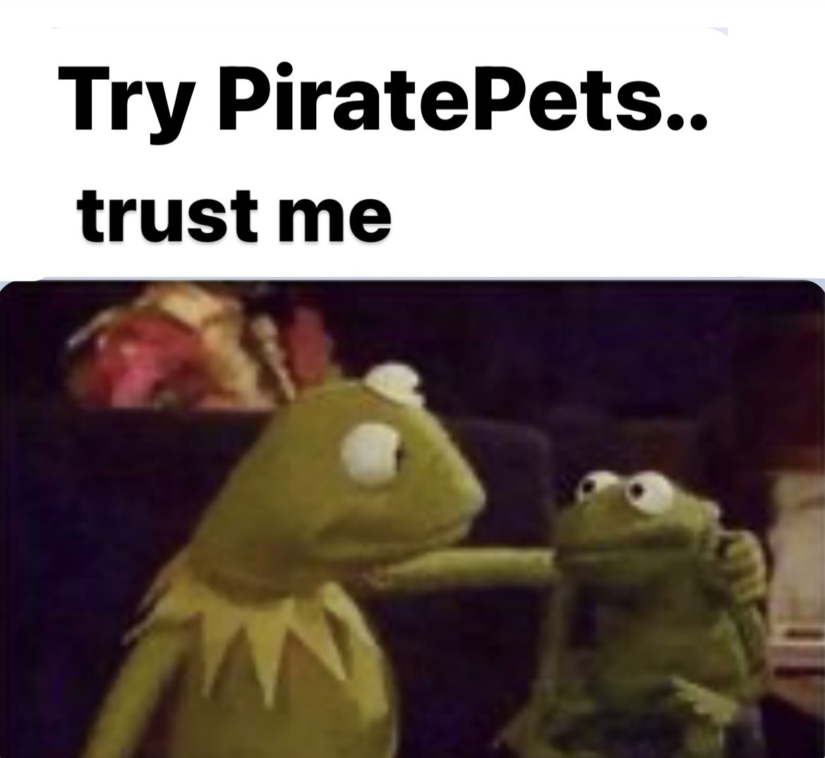 AmiroZero's tweet image. #piratepetsmemecompetition

;)
