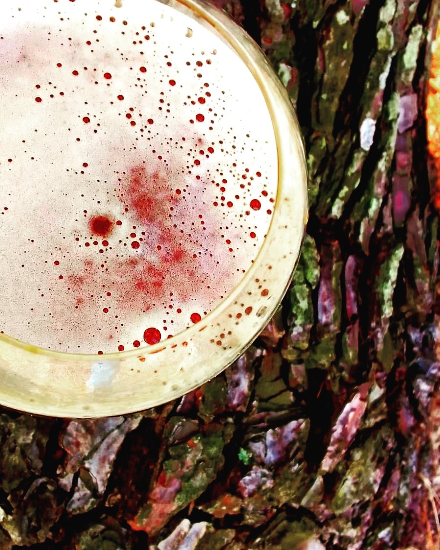 "No habría creatividad sin la curiosidad que nos mueve y que nos pone pacientemente impacientes ante el mundo que no hicimos, al que acrecentamos con algo que hacemos".
- Paulo Freire

Vive tu experiencia ANTICA. 

Reserva por privado,
o en:
<a href="/birravauy/">Birravauy</a>