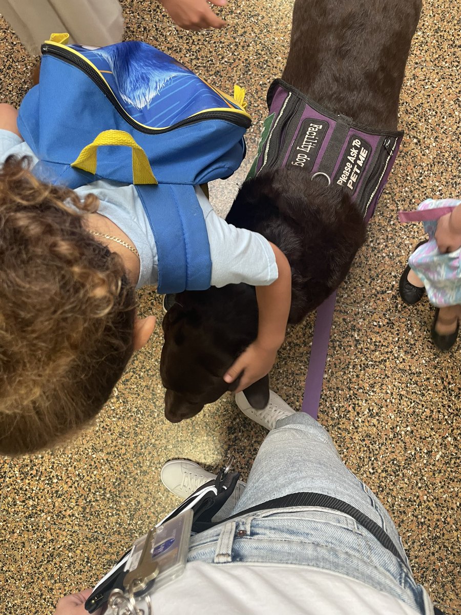 MrsCableNES's tweet photo. Brodey got lots of love today as he said “see you later” to students! 🩷 https://t.co/fPztsypWia