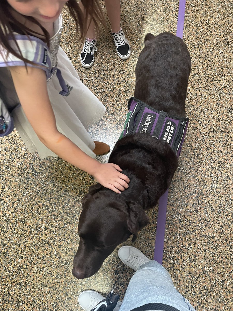 MrsCableNES's tweet photo. Brodey got lots of love today as he said “see you later” to students! 🩷 https://t.co/fPztsypWia