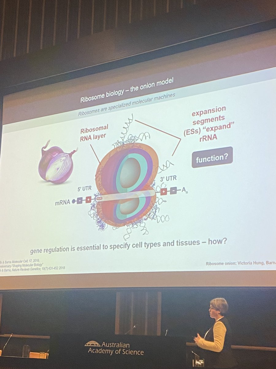 Dr Marina Alexander tweet media