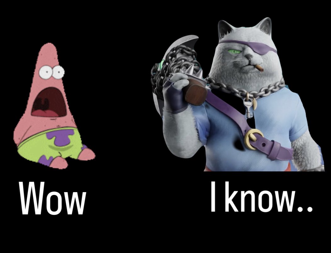 AmiroZero's tweet image. #piratepetsmemecompetition

;)