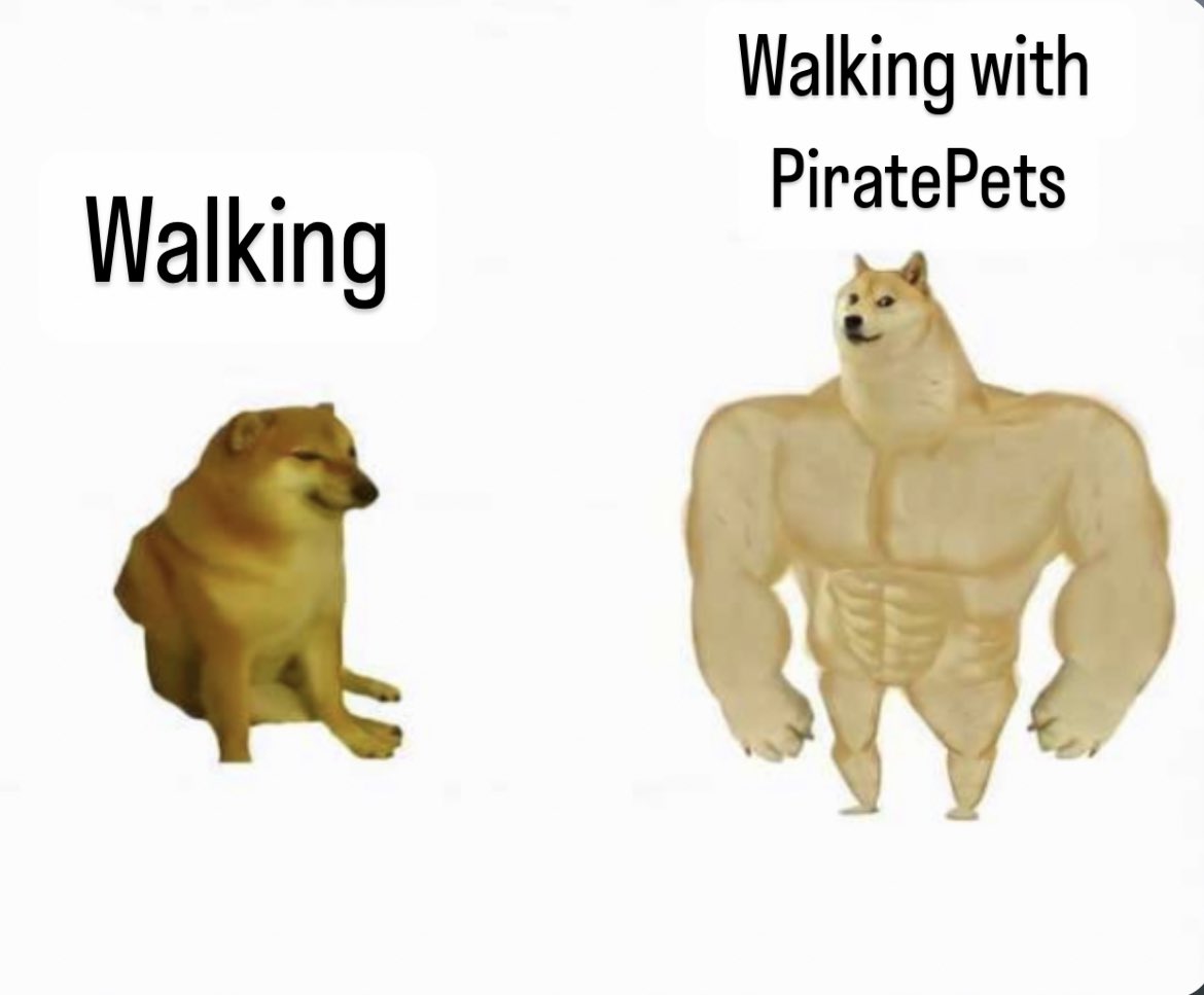 AmiroZero's tweet image. #piratepetsmemecompetition

;)