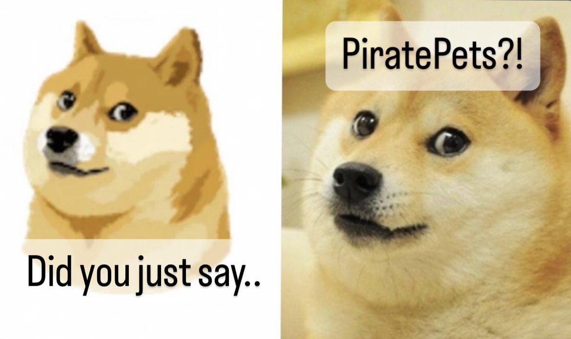 AmiroZero's tweet image. #piratepetsmemecompetition

;)