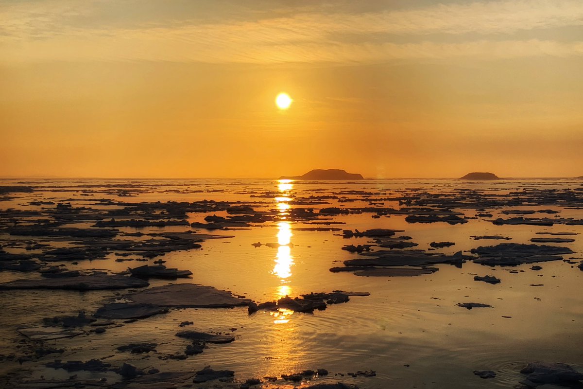 Beautiful Evening on the Labrador Coast yesterday!  #bigland #sunset #ice
