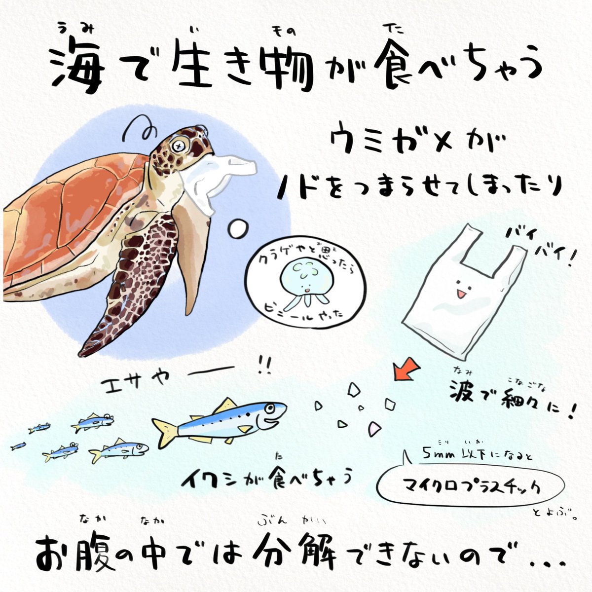 今日は世界海洋デー🏝 2050年には、海洋中のプラスチックごみの重量が魚の重量を超えるという試算もあります。