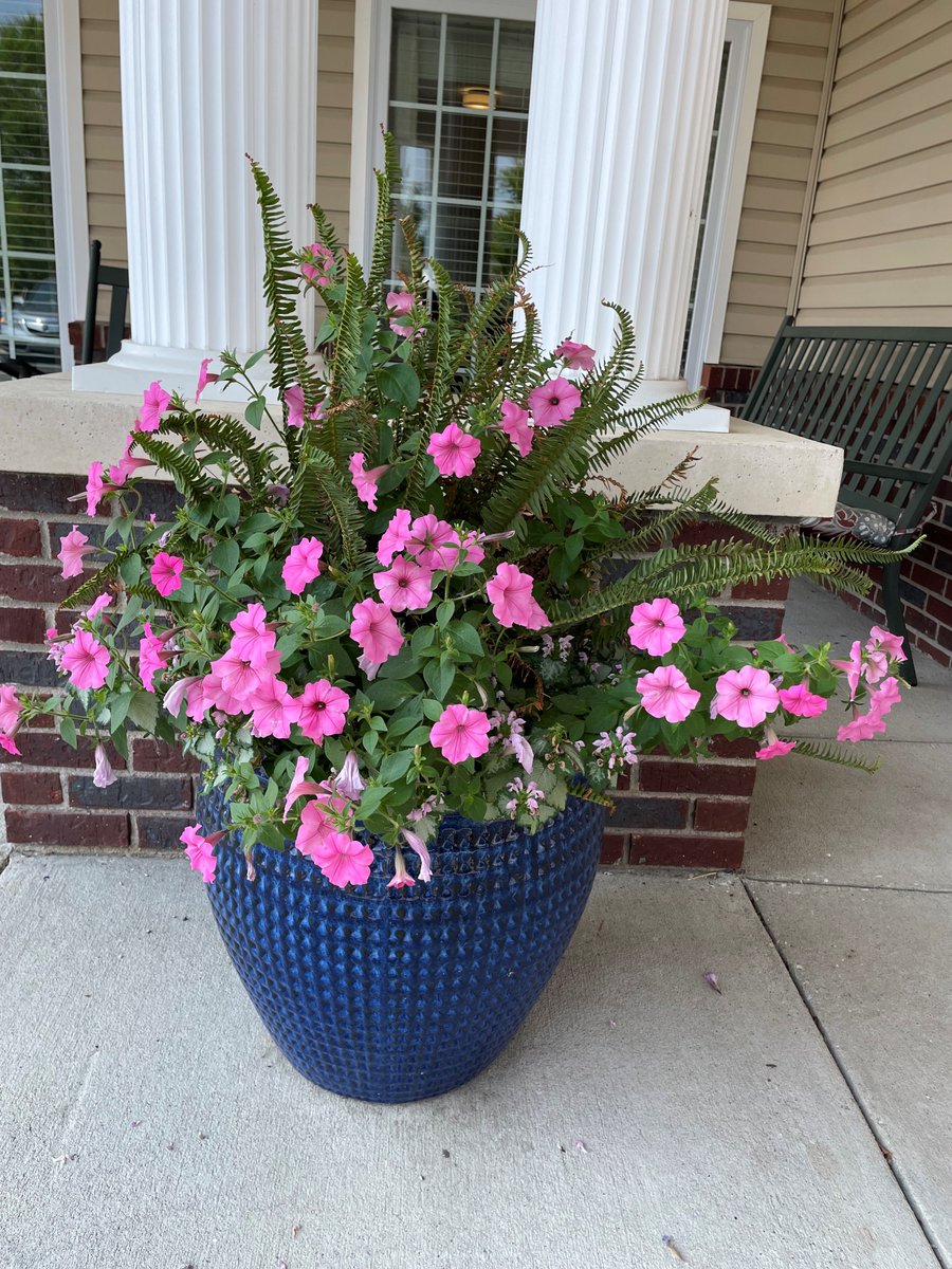 The garden gnomes have been busy planting flowers and vegetables around our campus.  
Sunday is Family Brunch from 11-1.  Come by and see how pretty things are looking outside!