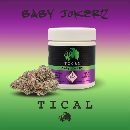 📢🌿🎤Join us for TICAL Tuesday! Buy one @ticalofficial cannabis 1/8th, get one for 5⃣0⃣% off! Three 🔥 strain choices: 
👶🏾Baby Jokerz
🔥Hot Nixon
🥛Purple Milk
#dispensary #cannabis #MethodMan #hiphopculture #CannabisCommunity #BlackOwned #WomanOwned #VeteranOwned #IAmAPurest💜