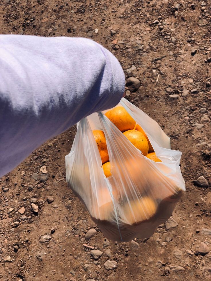unas mandarinas al sol, es lo único que pido