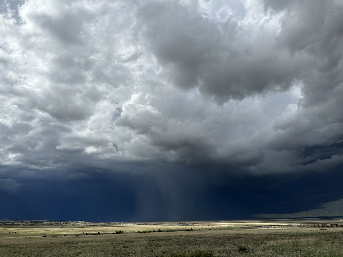 Shelfing out with the rain shafts #nmwx #wxtwitter