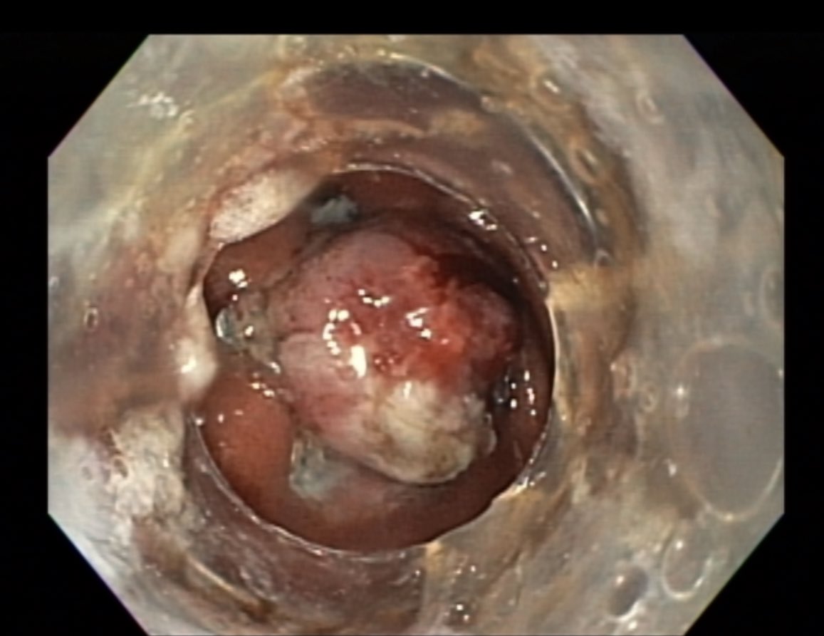 A. Samad Soudagar tweet media