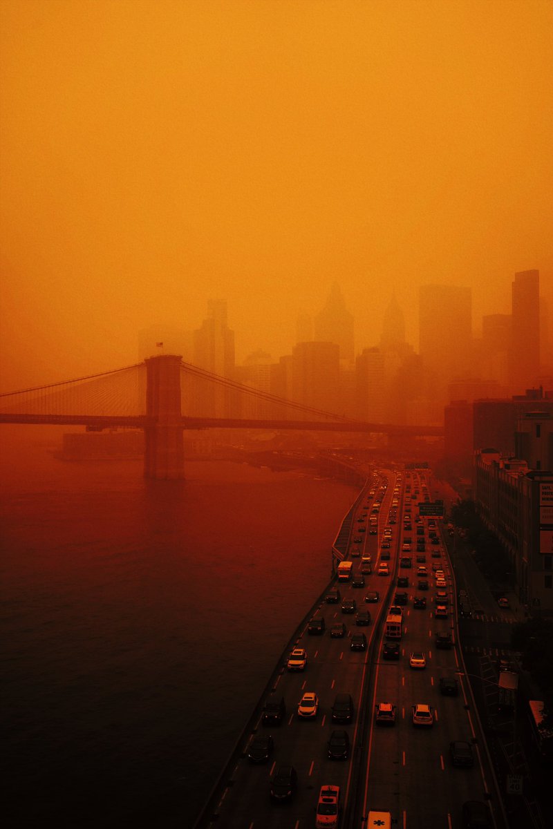 Raylivez1's tweet image. I guess orange is the color today .