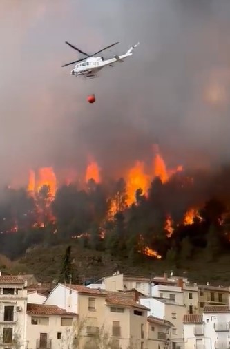 InForestMed's tweet photo. De verdad, es una pena q desde una universidad pública y con fondos públicos se mantenga semejante obsesión contra la selvicultura, desprecio urbanita hacia el entorno rural, mitología obsoleta de no intervención en paisajes culturales y sectarismo hacia gestores de espacios nat. https://t.co/qBONE2k9HS