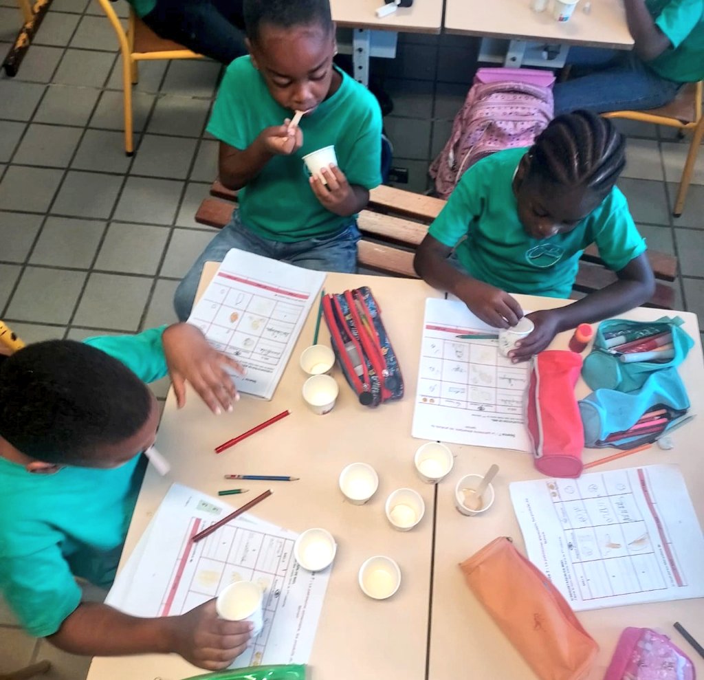 Le projet "Classe du goût" porté par l'association Djam permet aux élèves de CP et Ce1 d'explorer les 5 sens à travers la dégustation de produits du terroir. 8 séances interdisciplinaires autour du patrimoine alimentaire qui se terminent par la visite d'une exploitation agricole.