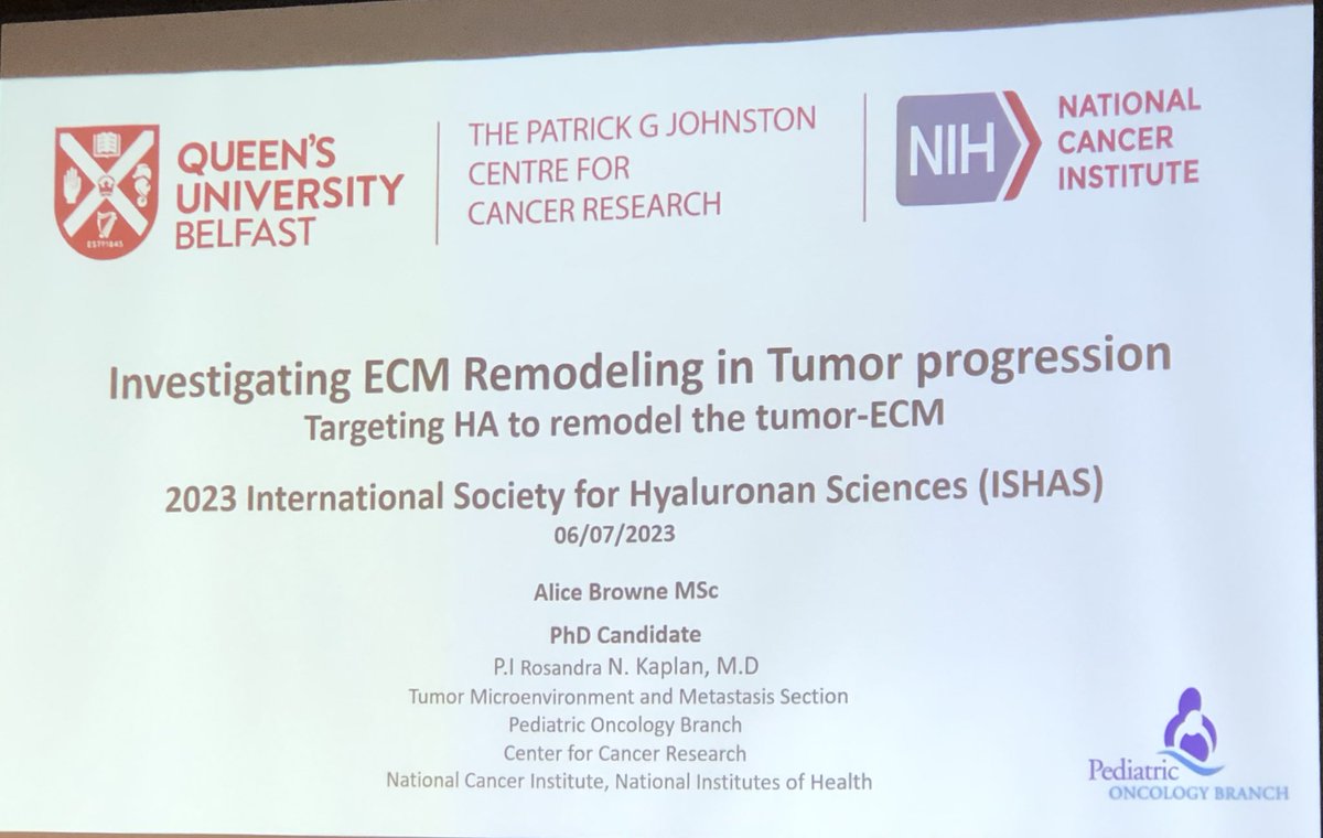 Last presentation in the HA in cancer biology. Alice Browne, NIH Bethesda presenting her work; Investigating ECM remodelling in tumorigenesis: Hyaluronidase expressing genetically engineered mesenchymal stromal cells remodel HA-rich tumor ECM. @ISHAS_org