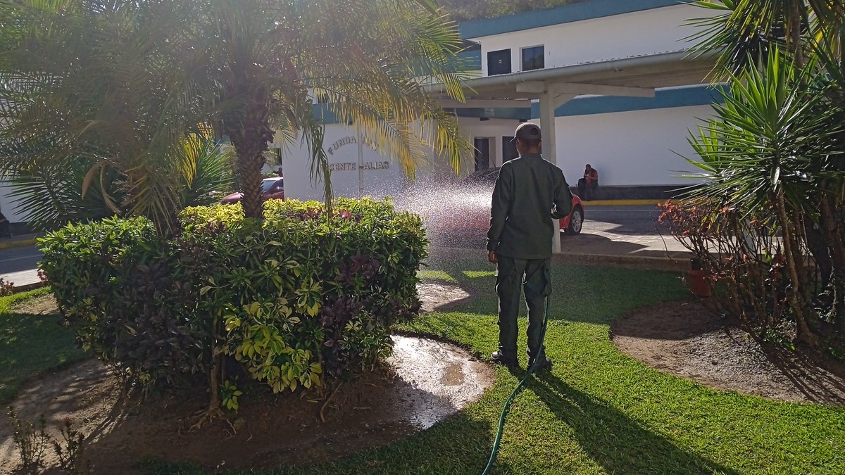 hospimilTiuna's tweet photo. #Importante👉|| En el marco del plan #YoSiQuieroAMiHospital💖nos mantenemos cuidando nuestras areas verdes para brindarte mejores espacios en pro de tu #salud, porque el #ElPacienteEsNuestraRazonDeSer💚 ! #PorLaSaludDeLaPatriaJuntosVenceremos🇻🇪 @Hilars10 @DigesaludFANB #HMVSS https://t.co/nNwEjmU8AO