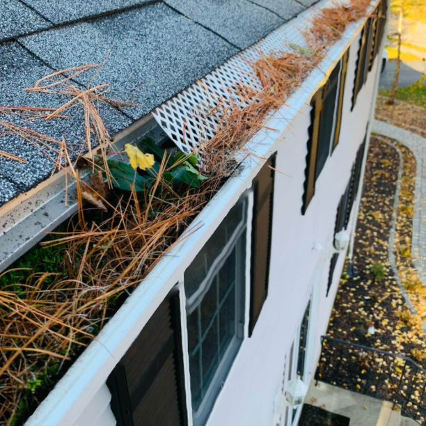 GutterCowboy's tweet image. Customer: "We need to cancel our gutter cleaning appointment because we installed gutter guards."
Us: "Sure no problem"
Customer (in 6-12 months): "Our gutters are clogged 📷📷and overflowing, 📷📷 and the guy that put our guards in won't return our calls. Please help!"