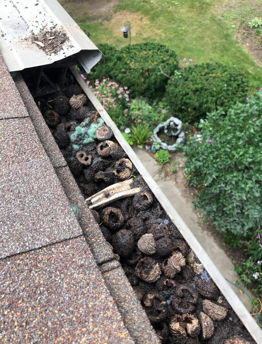 GutterCowboy's tweet image. Customer: "We need to cancel our gutter cleaning appointment because we installed gutter guards."
Us: "Sure no problem"
Customer (in 6-12 months): "Our gutters are clogged 📷📷and overflowing, 📷📷 and the guy that put our guards in won't return our calls. Please help!"