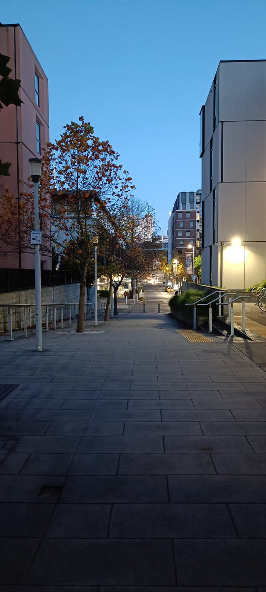 JackAtuKiwi's tweet image. Walking to work . . .

#TweetMyView