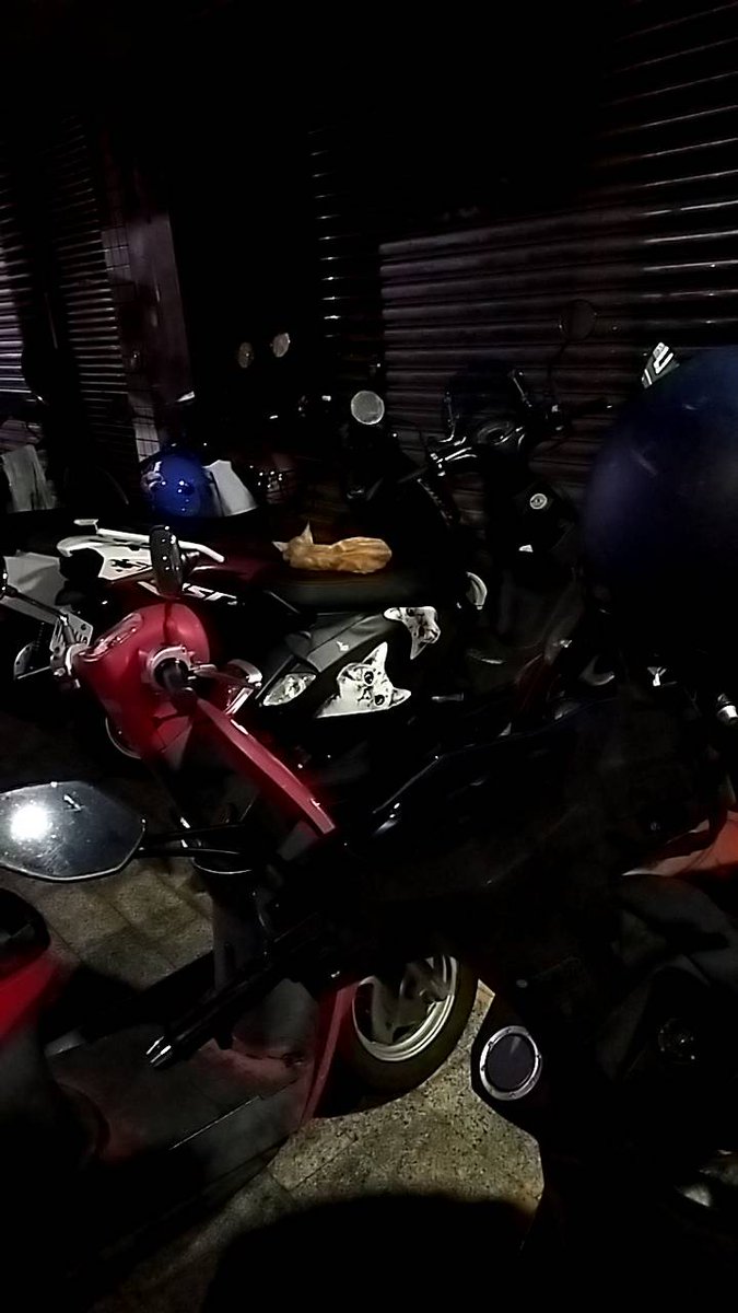 自從機車用了貓圖護套 天天被佔用…