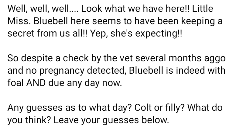 PRRHorseRescue's tweet photo. π«BLUEBELL HAS AN IMPORTANT ANNOUNCEMENTπ«
Want to send momma-to-be a little something?? π
https://t.co/9NoR8lhaRU
#expectantmomma #horse #rescue #babyonboard #mare #infoal #babyhorse #texashorserescue #horserescue #babyhorse #pregnant #colt #filly https://t.co/KNylz8chDf