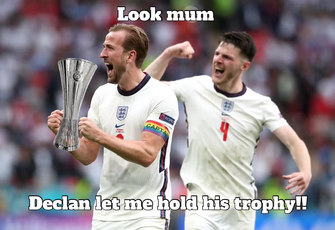 LSPhotography76's tweet image. This one wins the Internet for today.  #WestHam #WHTID