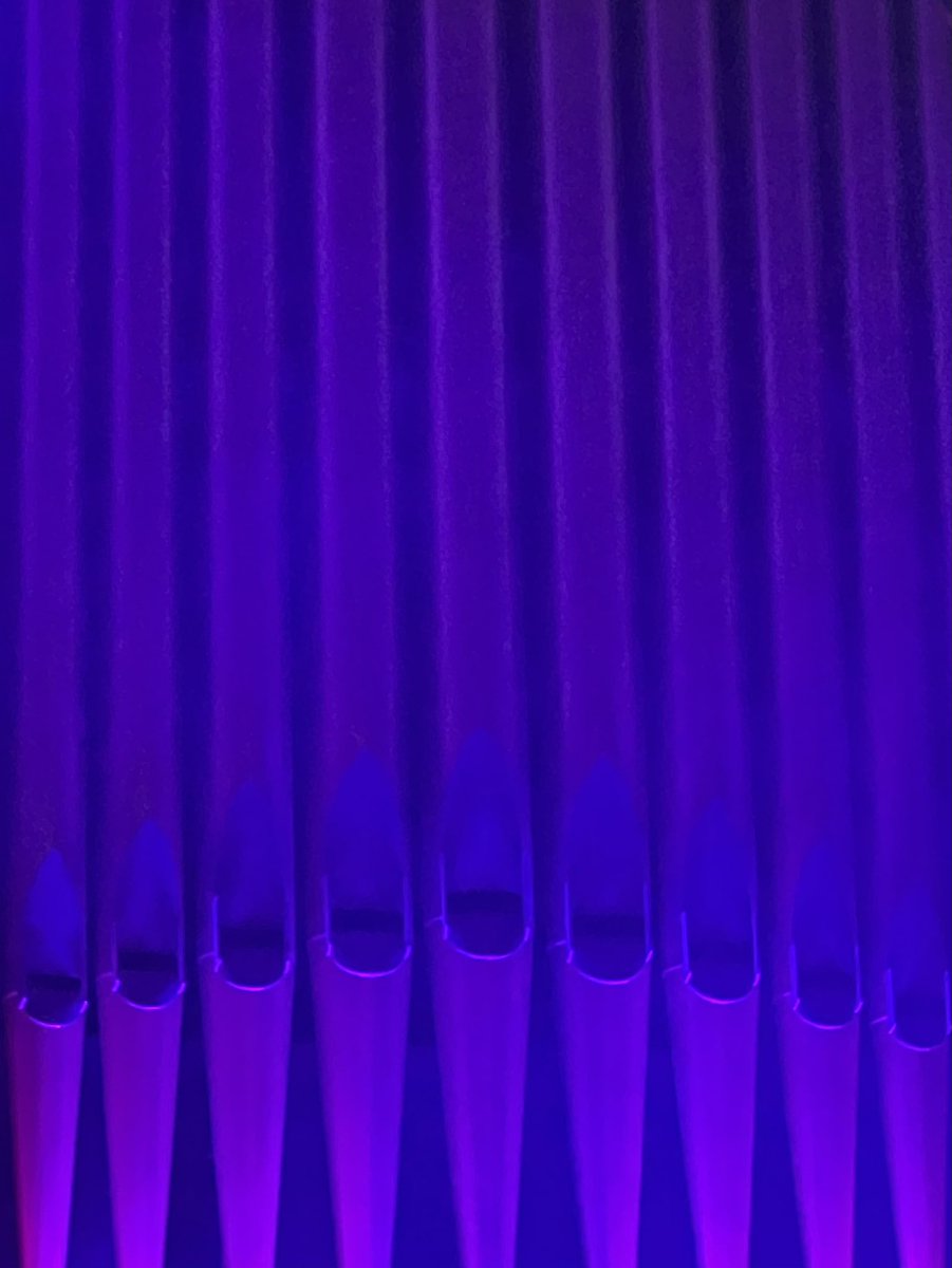 Chloe Augusta Wolf (@art_chester) on Twitter photo 